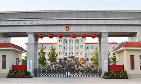 北京大(da)興莊鎮政府